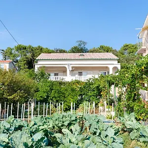 https://apartments-luce-lopar.primorje-gorskikotar.com